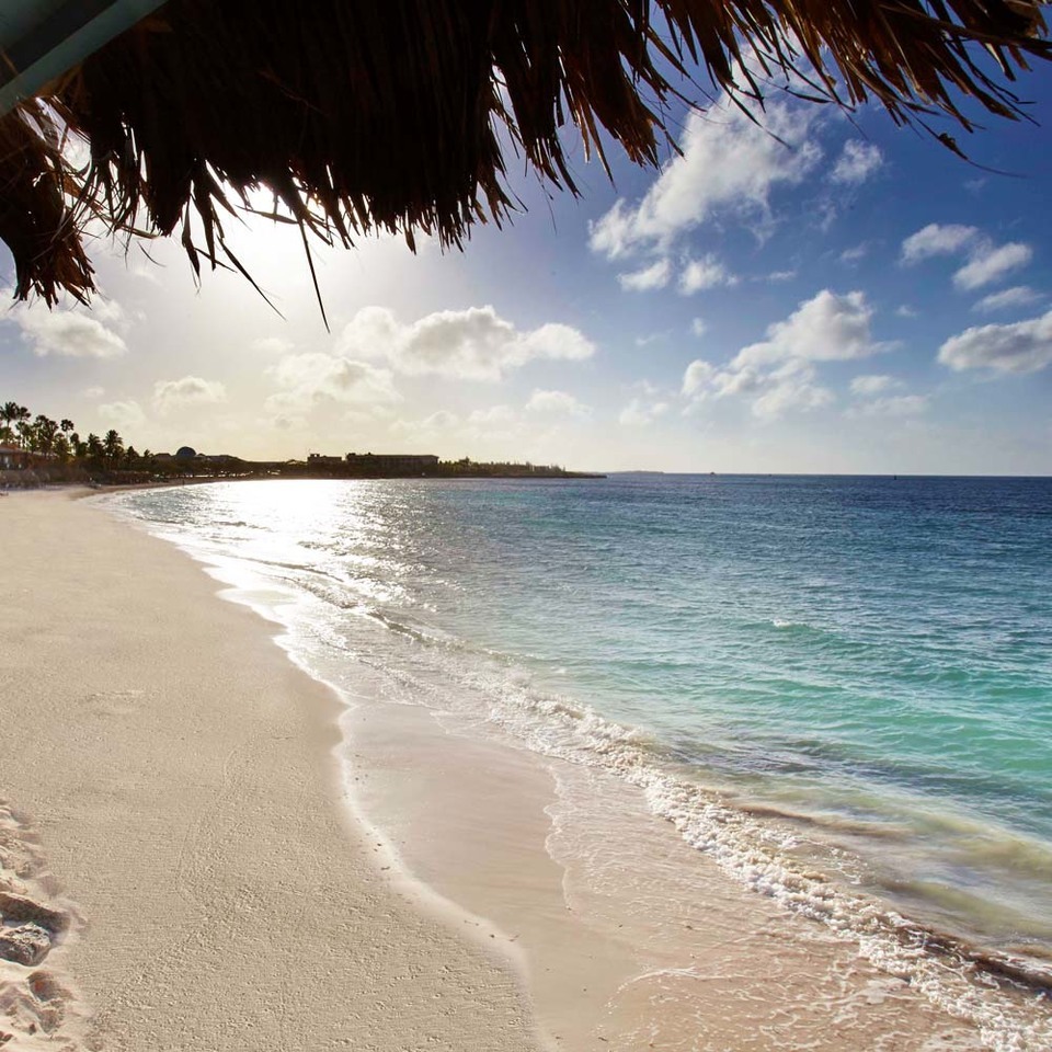 Vacation Property