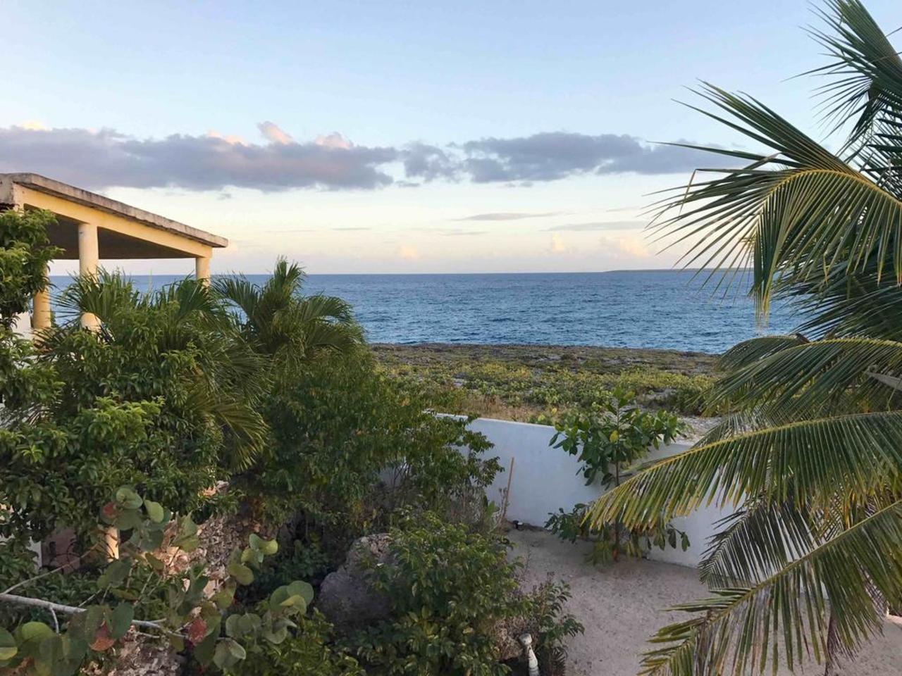 Timeshare Owner