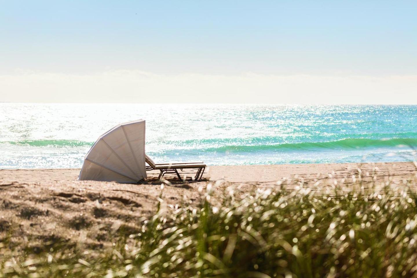Timeshare Owner
