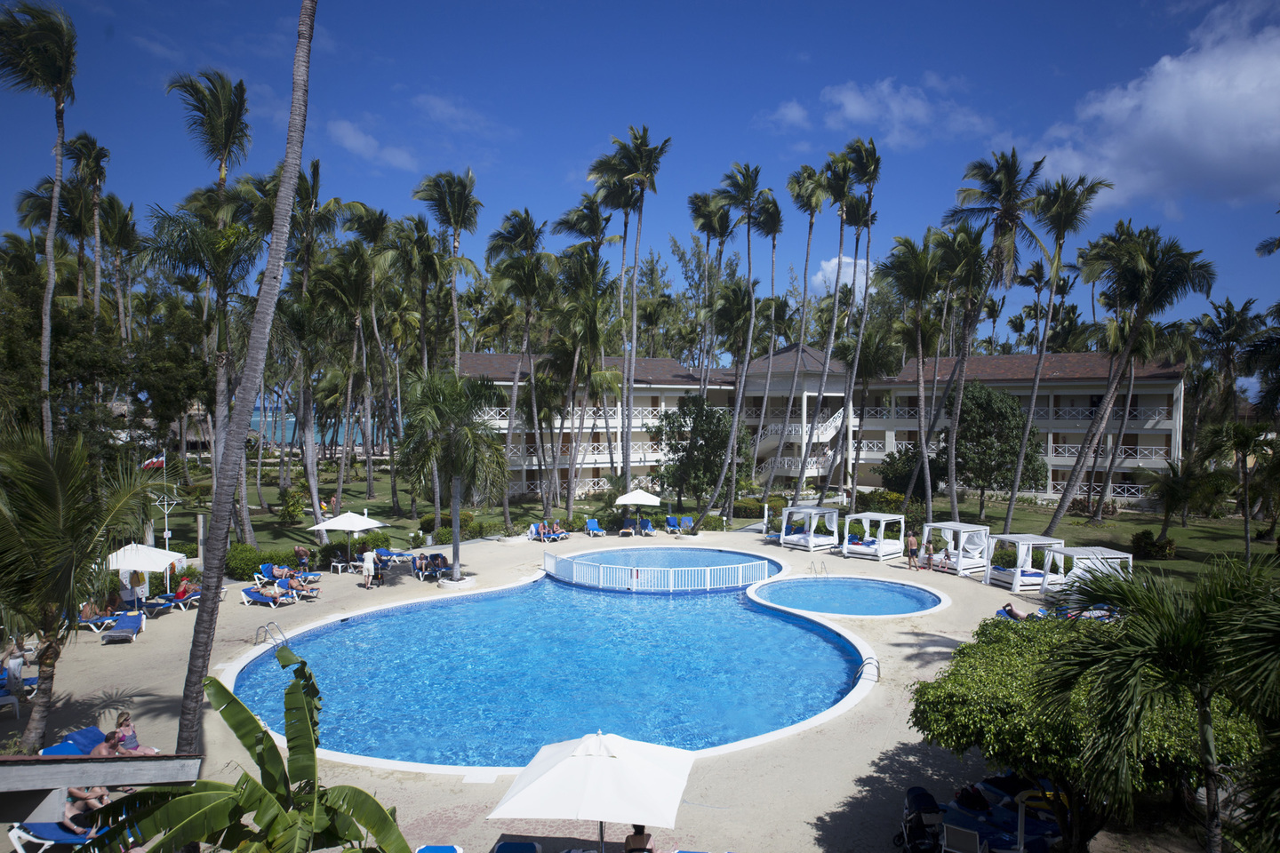 Timeshare Owner