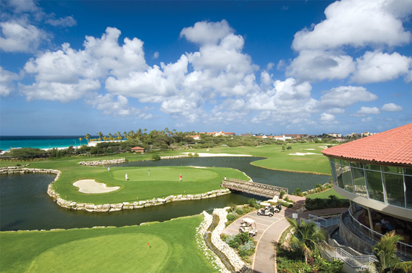 Timeshare Owner