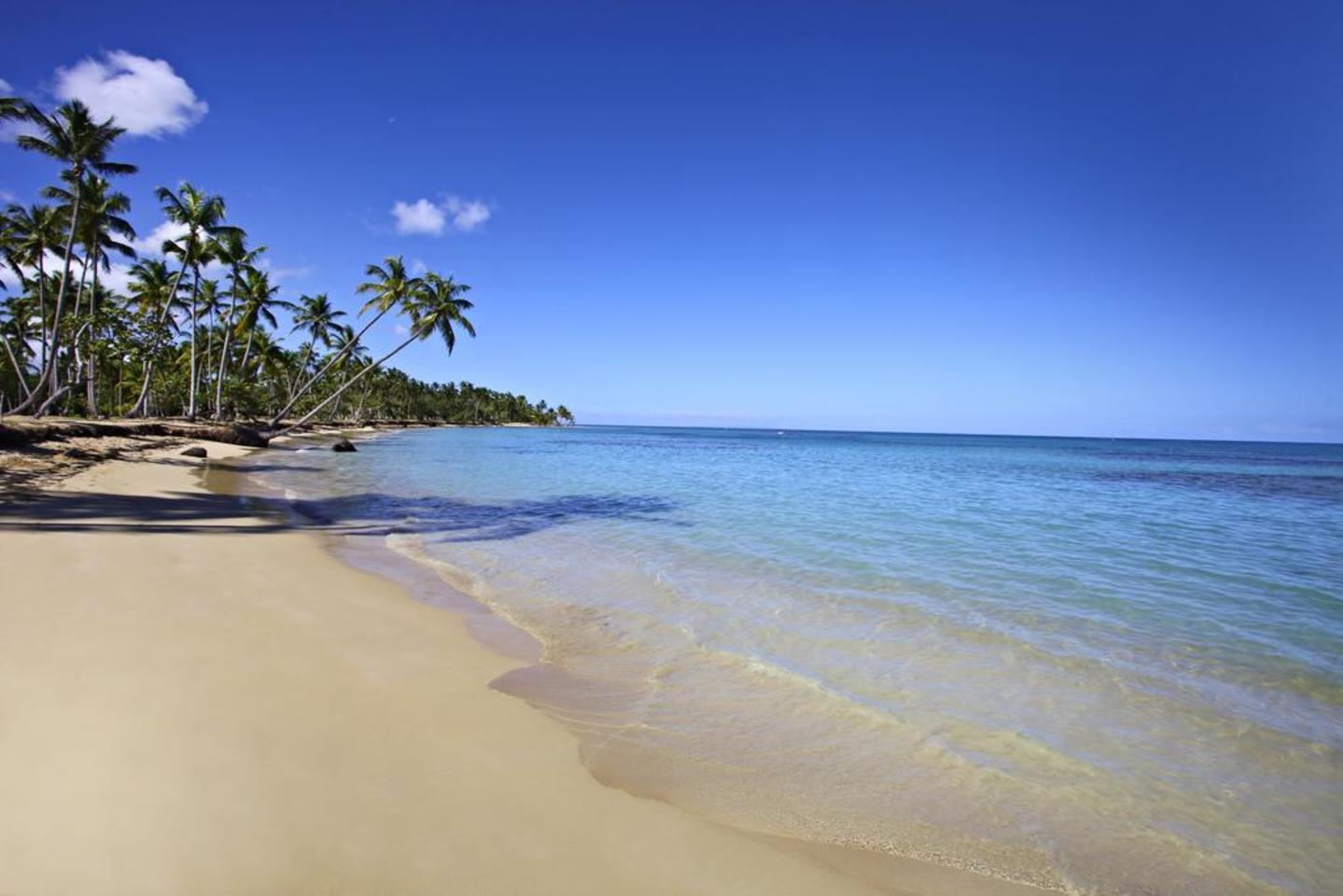 Timeshare Exchange