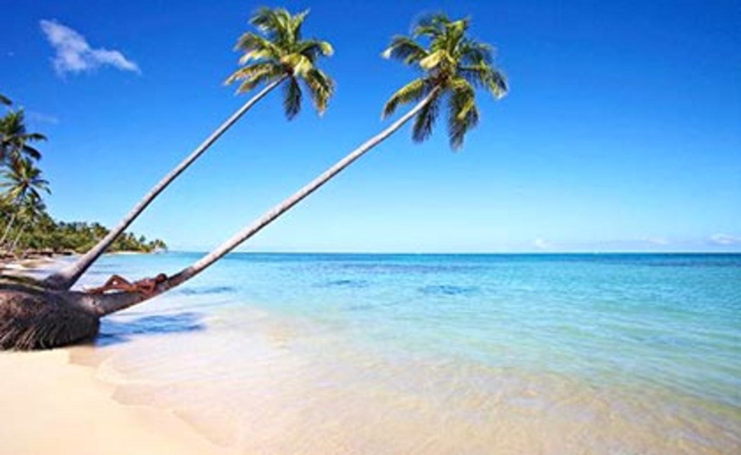 Vacation Property