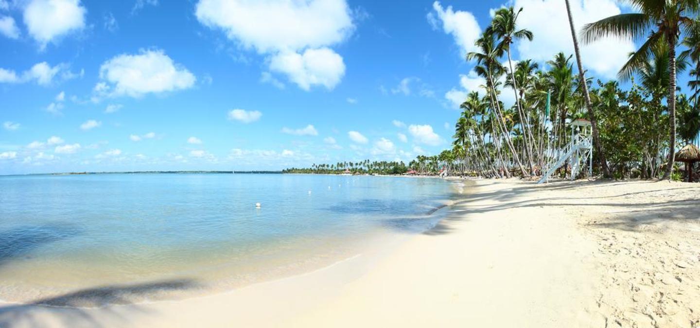 Timeshare Owner