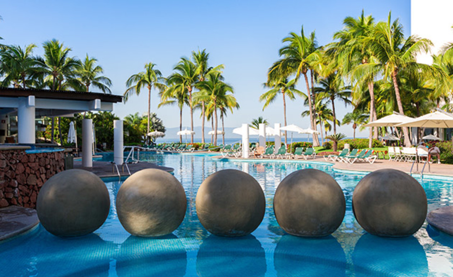 Timeshare Owner