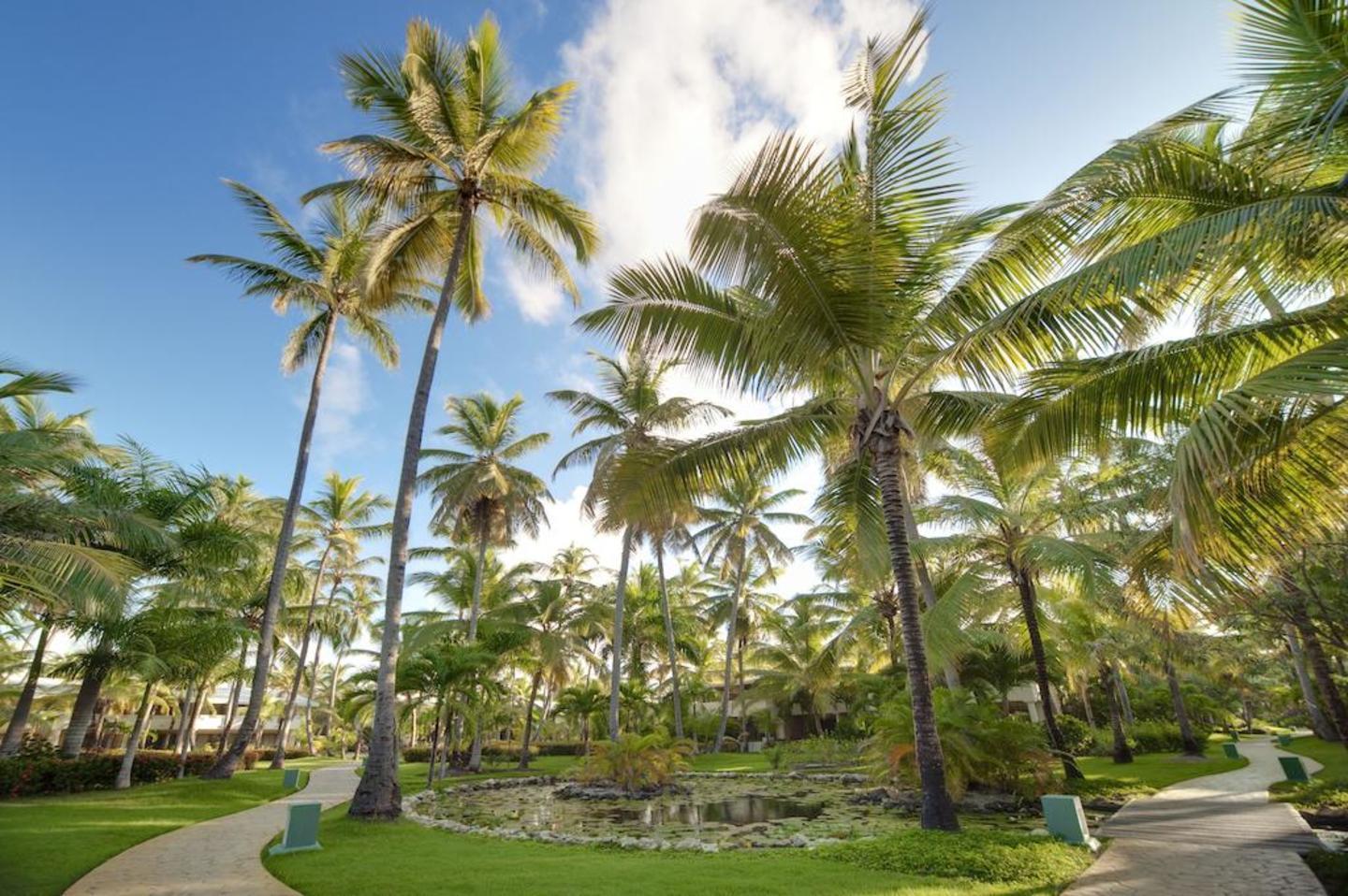 Timeshare Exchange